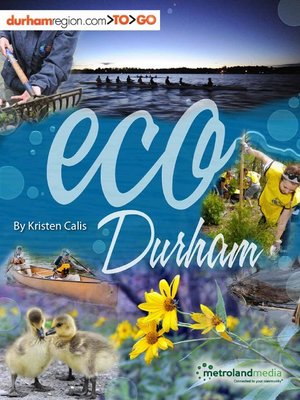 cover image of Eco Durham